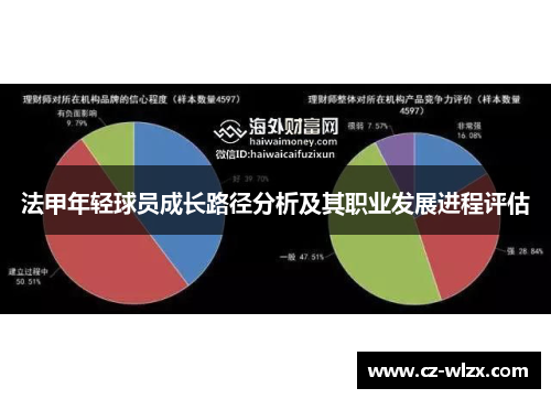 法甲年轻球员成长路径分析及其职业发展进程评估