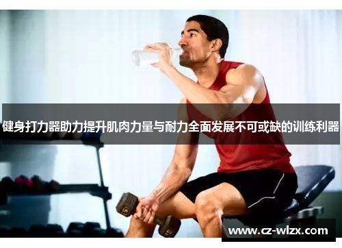 健身打力器助力提升肌肉力量与耐力全面发展不可或缺的训练利器