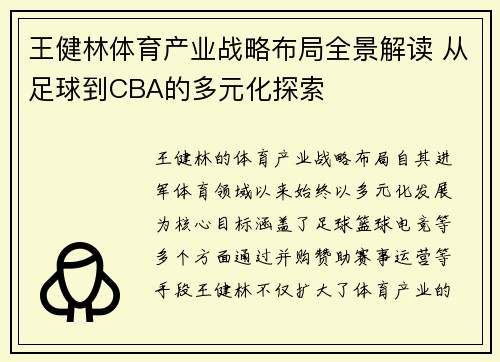 王健林体育产业战略布局全景解读 从足球到CBA的多元化探索
