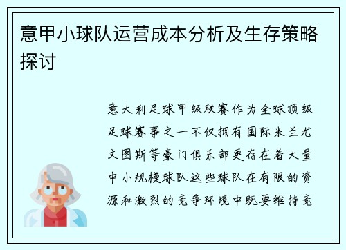 意甲小球队运营成本分析及生存策略探讨