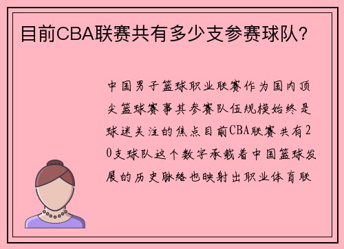 目前CBA联赛共有多少支参赛球队？